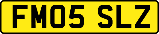 FM05SLZ