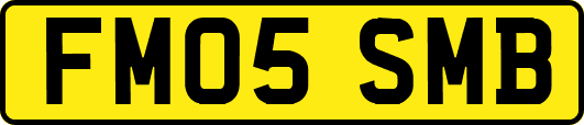 FM05SMB