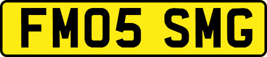 FM05SMG