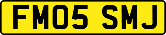 FM05SMJ