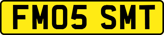 FM05SMT