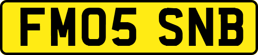 FM05SNB