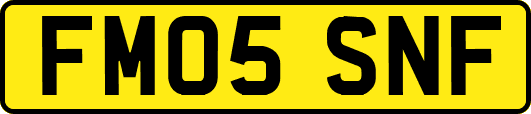 FM05SNF