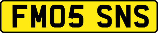 FM05SNS