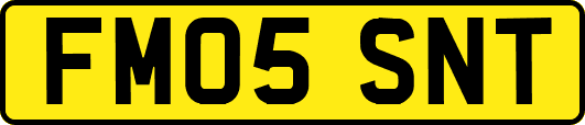 FM05SNT