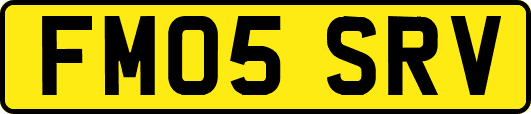 FM05SRV