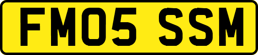 FM05SSM