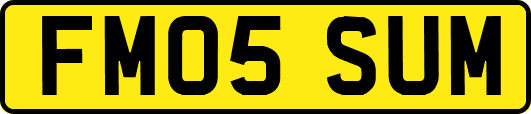 FM05SUM