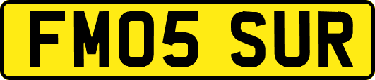 FM05SUR