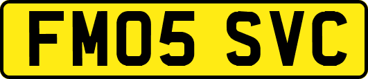 FM05SVC