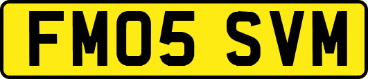 FM05SVM