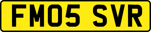 FM05SVR