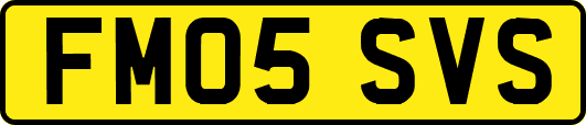 FM05SVS