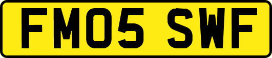 FM05SWF