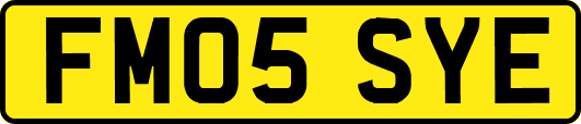 FM05SYE