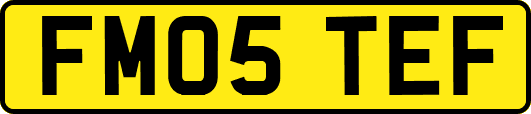 FM05TEF