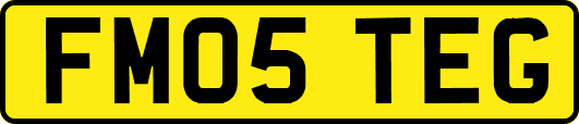FM05TEG