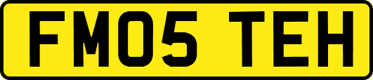 FM05TEH