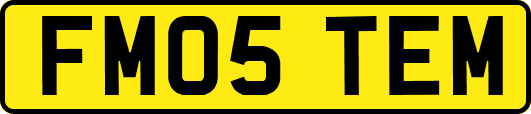 FM05TEM