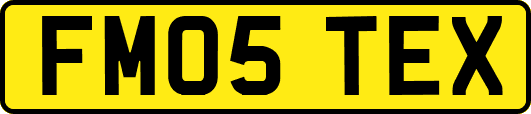 FM05TEX