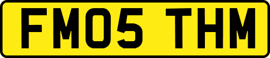 FM05THM