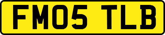 FM05TLB