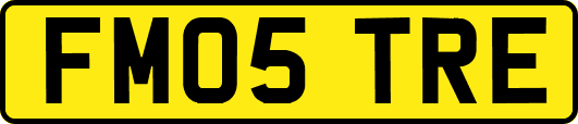 FM05TRE