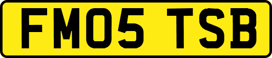 FM05TSB