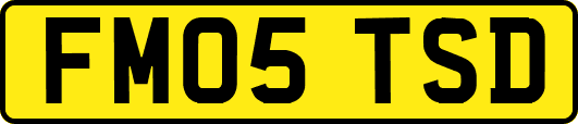 FM05TSD