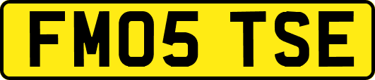 FM05TSE