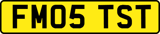 FM05TST