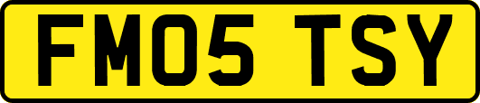 FM05TSY