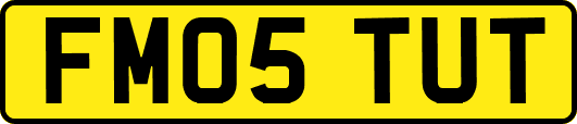 FM05TUT