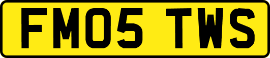 FM05TWS