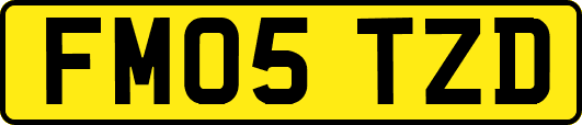 FM05TZD