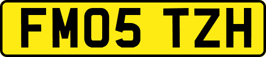 FM05TZH