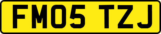 FM05TZJ