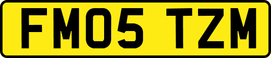 FM05TZM