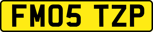FM05TZP