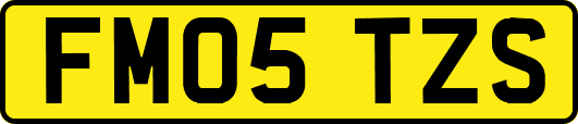 FM05TZS