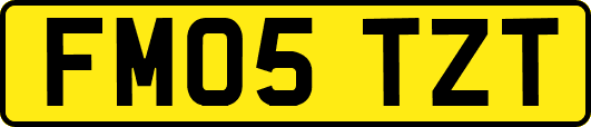 FM05TZT