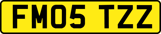 FM05TZZ