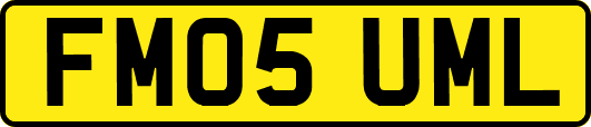 FM05UML