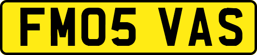 FM05VAS
