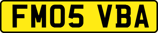 FM05VBA