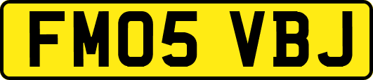 FM05VBJ