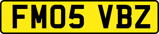 FM05VBZ