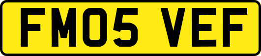 FM05VEF