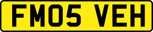 FM05VEH