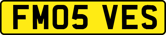 FM05VES